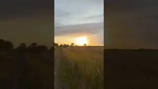 Have you ever explored the Everglades at sunset?