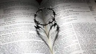 Kingdom Dominion Bible Study