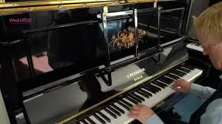 Bechstein Piano - Stranger on the Shore
