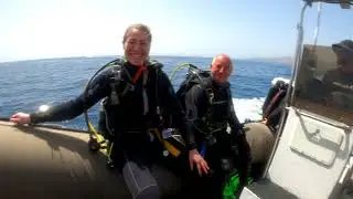 Lanzarote Rifftauchen mit Rochen und  Haien