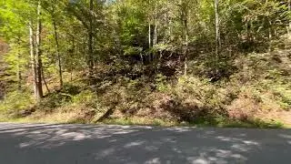 Nada Tunnel, Red River Gorge Geological Area, Daniel Boone National Forest, Kentucky
