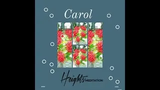 Heights Meditation (feat. Fayarass & Jah Prince) - Carol (lyrics video)