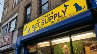 Экскурсия по зоомагазинам &mdash; Brooklyn Pet Supply