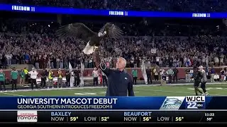 Georgia Southern unveils Freedom II, new live bald eagle mascot