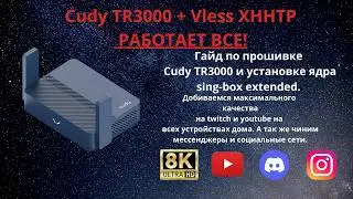 The best XHHTP VLESS OpenWRT router you can build yourself in 15 minutes! Smartly bypass restrict...