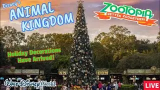 🔴LIVE: Disney&rsquo;s ANIMAL KINGDOM! New Zootopia Show & Holiday Decor Begins! Disney World Live Stream