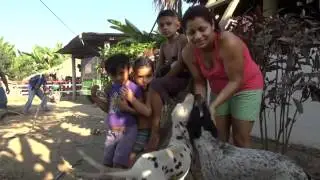 El Carito
