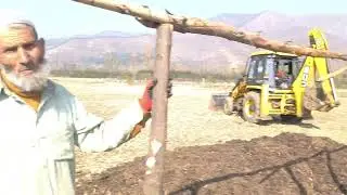 🚨 High-Density Apple Orchards Update &mdash; Trellis & Pipe Installation Started! 🍎