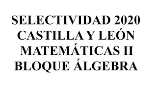 selectividad castilla y león 2020 matemáticas II bloque álgebra