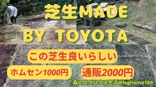 【DIY】トヨタ開発の芝生TM9を植えてみた