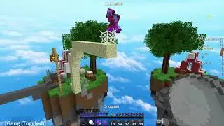 GOMME BUG ZERST&Ouml;RT den 100er K/D TRY in SKYWARS 😲