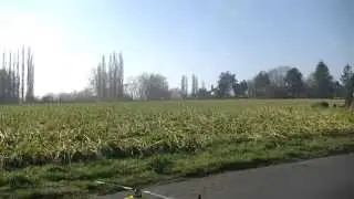 Mikado Logo 480XXTreme mild 3D flight