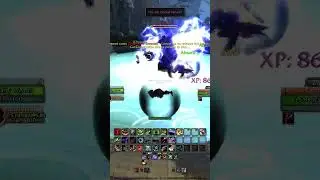 World of Warcraft The War Within Beastmastery Hunter #wowclassic #worldofwarcraft #thewarwithin