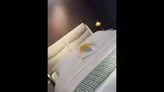 モダンシンプル 本革 ダブルベッド 収納付き ソフトパッケージ 主寝室用 婚礼ベッド 1.5m・1.8m対応 高級感デザイン #bedroom #2段ベッド #home