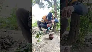 Amazing farming reel 🥐🥐|| #farming #ketibadi #dailyshorts #video #song #villagelife #viral #nature