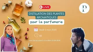 Distillations des plantes aromatiques pour la parfumerie