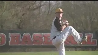 Crestview's McDonough strikes out 13; Rebels top Springfield