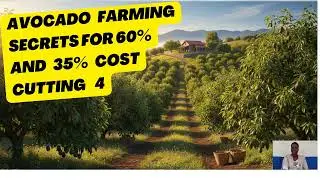 AVOCADO FARMING SECRETS FOR 60% YIELDS INCREASE & 35% COST CUTTING 4: Tutorial: By Florence Alimo!
