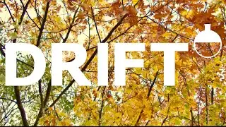 🍂 4 Hours Autumn Relaxation | Ambient Music with Fall Nature Visuals for Calm & Focus 🍁