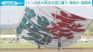1トンの巨大凧が大空を舞う！挑戦2日目の結果は？座間市大凧まつり(2025年5月6日)