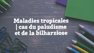 Maladies tropicales | cas du paludisme et de la bilharziose