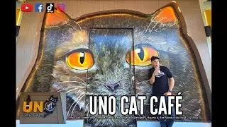 UNO Cat Caf&eacute;. Diversion Road Iloilo City. #cafe #cafemusic #catcafe #iloilo #fypシ #travel #fy 
