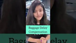 ₹19,000 Compensation for Baggage Delay