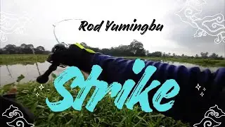 JORAN YUMINGBU X DAIWA TATULA 100 XHL || STRIKE GABUS 