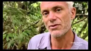 River Monsters S05 Special Worst Nightmares 480p HDTV x264 mSD 1 clip0