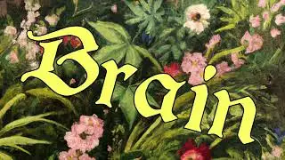 Kara Jackson - brain (Official Audio)