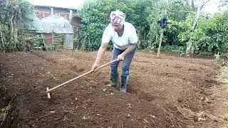 planting kanzera seeds (broadcasting) 26th Oct 2023 mboga za kienyeji farming in Kenya