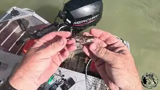 Fishing Karumba Part 2
