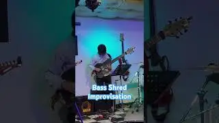 Bass Shred Improvisation #shorts #music #bass #bassplayer