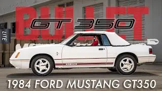 1984 Ford Mustang GT350 | [4K] | REVIEW SERIES | 