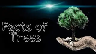 SAVE TREE'S || IN4MATIVE TALK || TAMIL