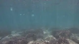 Чёрное море 🌊 181 GoPro