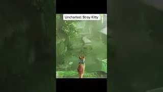 Uncharted: Stray Kitten #stray #straykitty #straygame