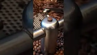 Coffee beans #youtubeshorts #shortsfeed#coffeeroaster  #youtubevideo