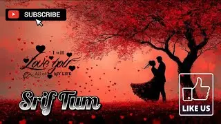 Sirf Tum❤️ | Love Story Song | Dreamy Romantic Vibes for special one❤️