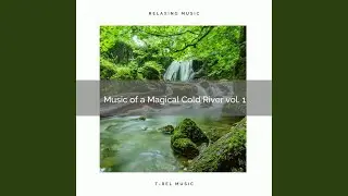 Music of a Flowing Dark Creek vol. 2