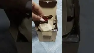 WhatsApp Video 2023 07 17 at 15 38 30#shorts