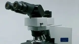 How to Adjust Olympus Microscope BX Tension Ring with Munday Microscope Company