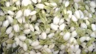 جبران مكحل المكحل سرى والعطر منه