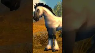 The Most Beloved NPC in World of Warcraft #worldofwarcraft #gaming