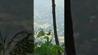 🌍#wind #cold #nature #views #valley #hills #mountains #temple #find #odd #strange #green #beautiful
