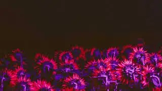 Romeo & Juliet (Official Audio)