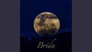 Brida