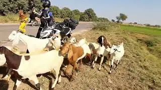 touar  SANGHAR  (sindh)with dat biker dude team