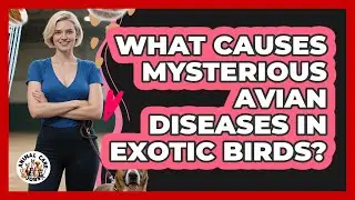 What Causes Mysterious Avian Diseases In Exotic Birds? - Animal Care Jobs