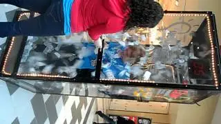 Mic Mac Mall Rocks March Break